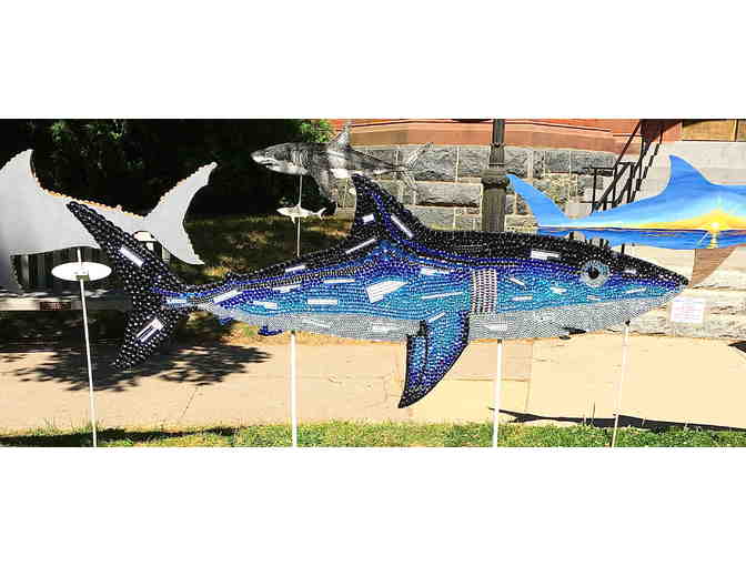 Chatham Clothing Bar's Shark in the Park - Photo 2