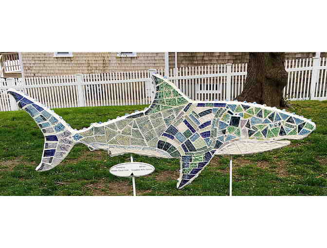 Adorn Cape Cod's Shark in the Park - Photo 1