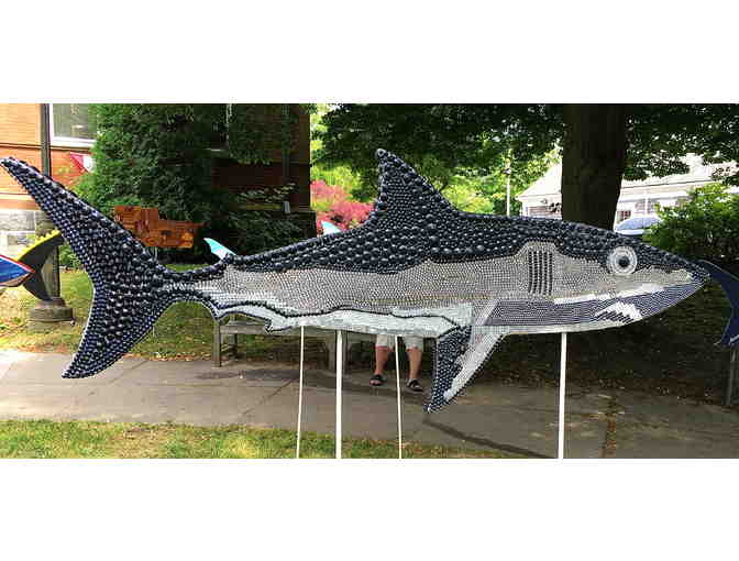 Chatham T Kids's Shark in the Park - Photo 1