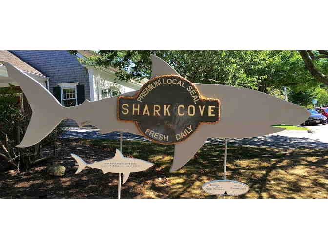 Shareen Davis Studio Workshop's Shark in the Park - Photo 1