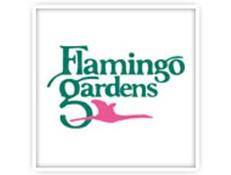 Flamingo Gardens - 4 Admission Passes