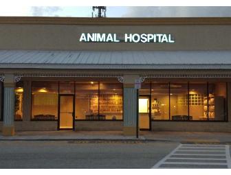 Pines West Animal Hospital Annual Exam & Vaccinations