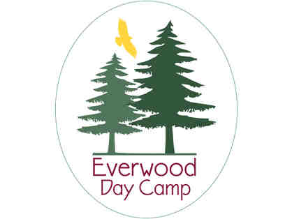 Everwood Day Camp $325 New Camper Gift Certificate