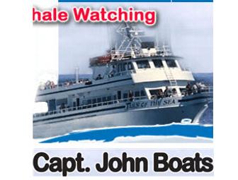 Captain John Whale Watching