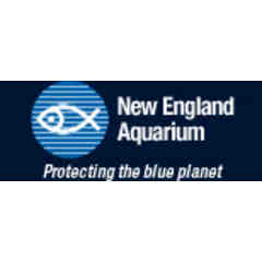 New England Aquariium