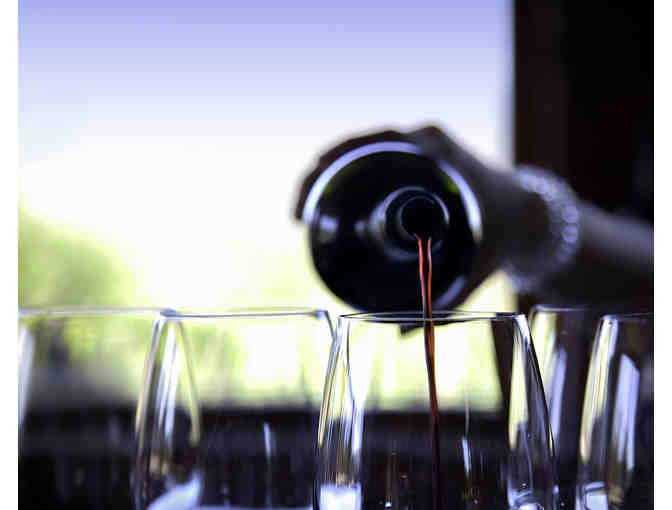 Private Wine Tasting for 12 from the Andes