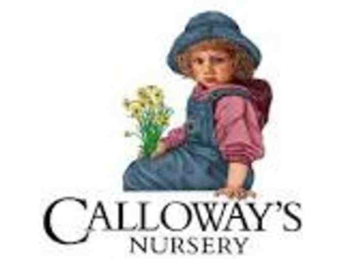 Calloway's Nursery Custom Floral Creation