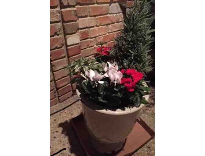 Calloway's Nursery Custom Floral Creation