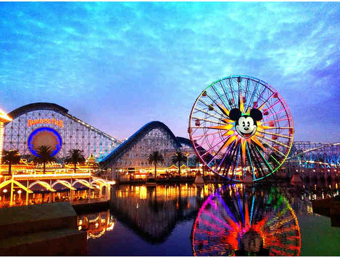 Disneyland or Disneyworld - One Day Park Hopper Ticket #1