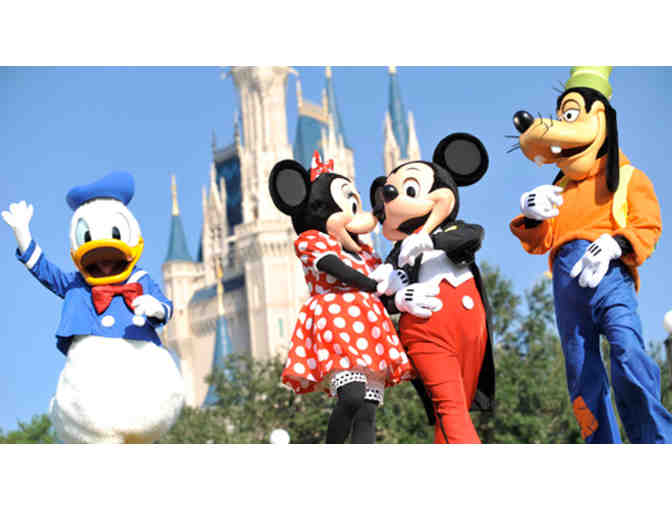 Disneyland or Disneyworld - One Day Park Hopper Ticket #1