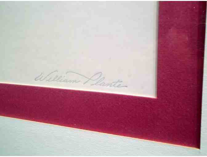 'Lily' by William Plante (signed) w/ Gold frame