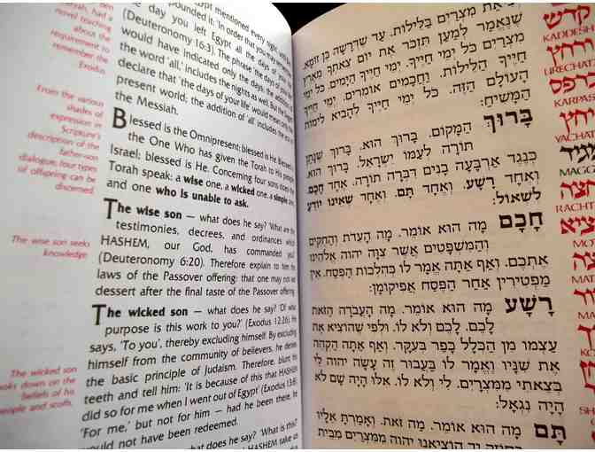 Artscroll Haggadot (16 count)