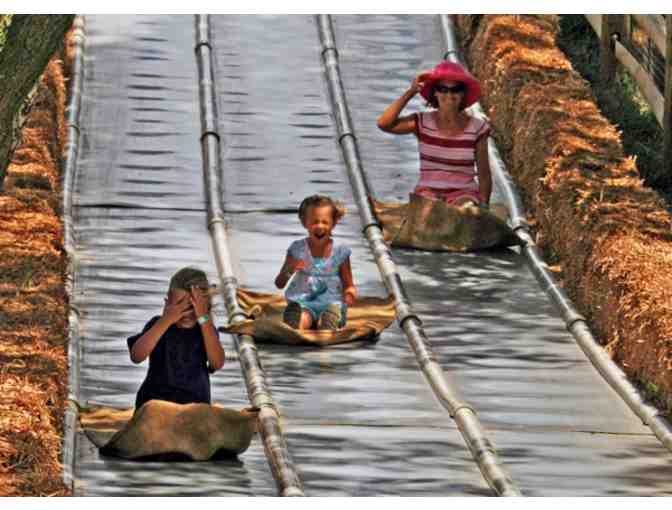 Cherry Crest Adventure Farm - 4 Tickets