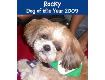 Dog of the Year 2010