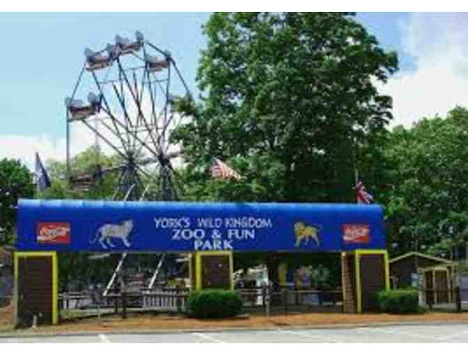 Four VIP Passes to York's Wild Kingdom