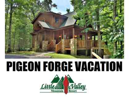 PIGEON FORGE VACATION