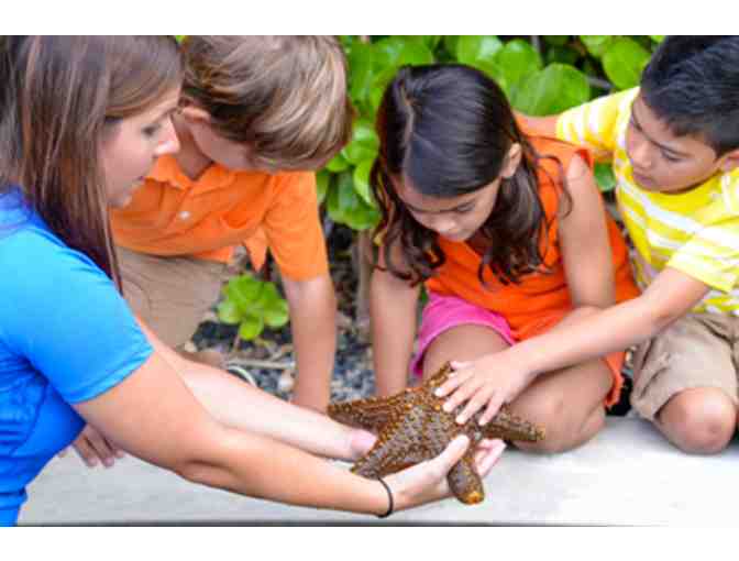 Sea Life Park - Annual Admission Pass for Two Guests