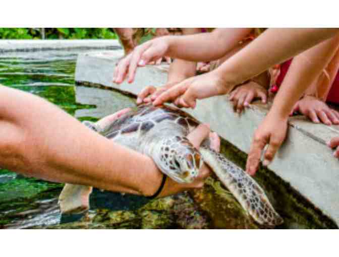 Sea Life Park - Annual Admission Pass for Two Guests