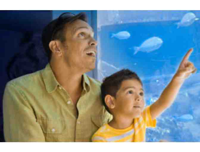 Sea Life Park - Annual Admission Pass for Two Guests