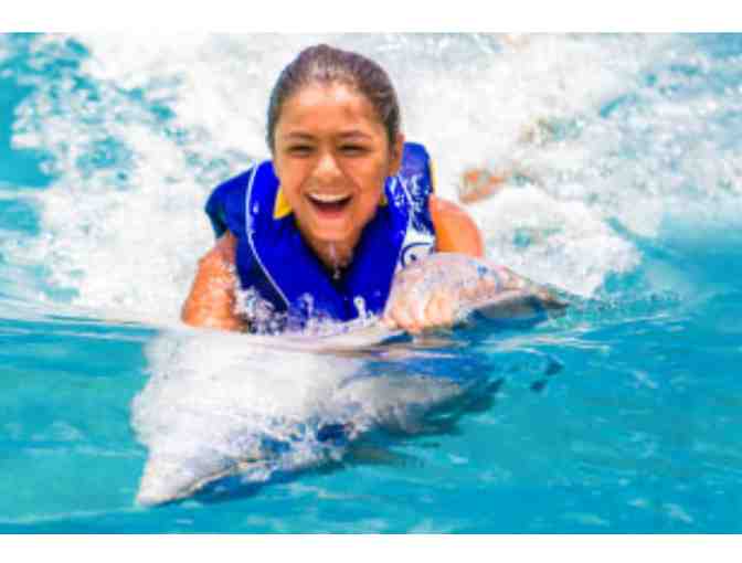 Sea Life Park - Dolphin Swim Adventure for Two Guests
