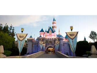 Ultimate Southern California Adventure for Family of Four