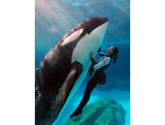 Getaway for Two Adults and Two Children to Orlando, Florida