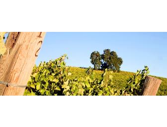 Alta Colina - 2 Bottles of Wine, Tasting & Vineyard Tour for 6