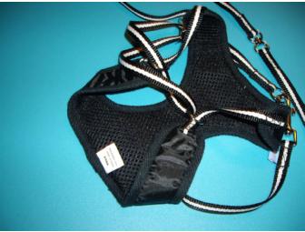 Easy Go Harness and Leash