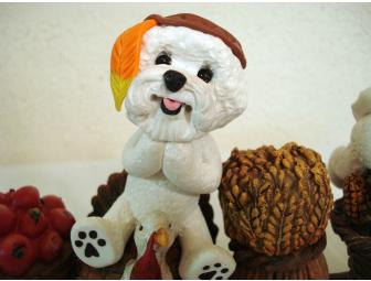Thanksgiving Bichons