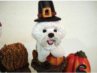 Thanksgiving Bichons