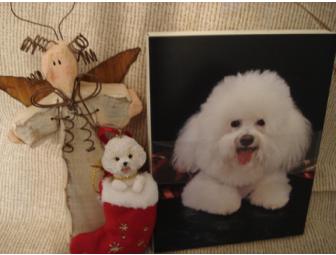 Bichon Christmas Pack