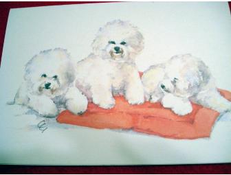 Bichon Notecards