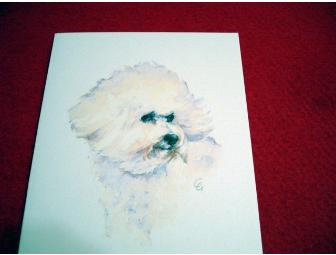 Bichon Notecards