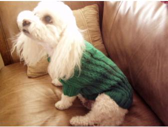 Bichon Hand-Knit Sweater - Green