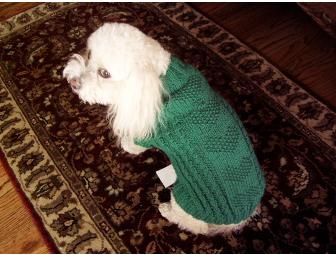 Bichon Hand-Knit Sweater - Green