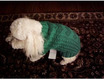 Bichon Hand-Knit Sweater - Green
