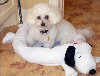 Snoopy Dog Bed