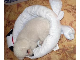 Snoopy Dog Bed