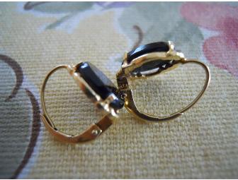 Black Onyx 14k Earrings