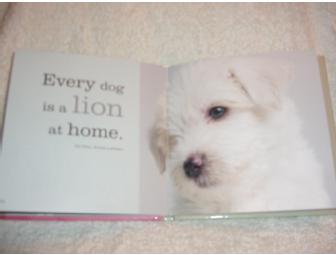 Book:  A Dog's Life