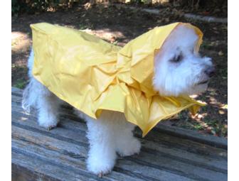 Dog Yellow Raincoat