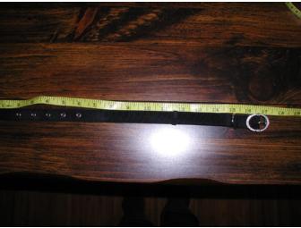 Dog Collar with Cubic Zirconia Stones