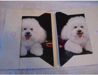 Bichon Note Cards