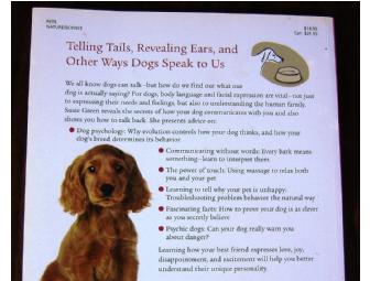 'Talk To Your Dog'  by Susie Green