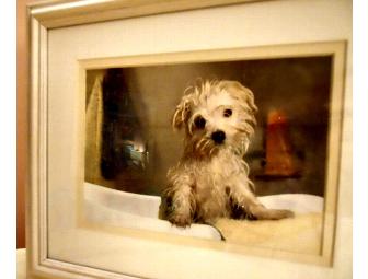 Bichon Puppy Bath Print