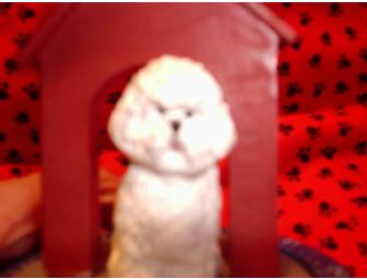 Bichon Kitchen Timer