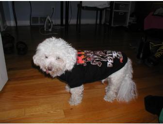 AC/DC Dog T-Shirt - Medium