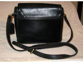 Coach Leather Purse with Hand Painted Bichons