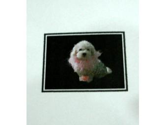 Bichon Stationery