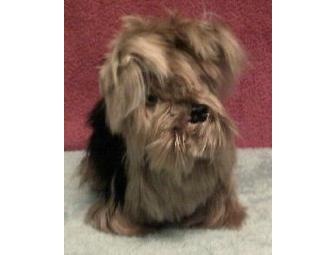 Alpaca Yorkshire Terrier